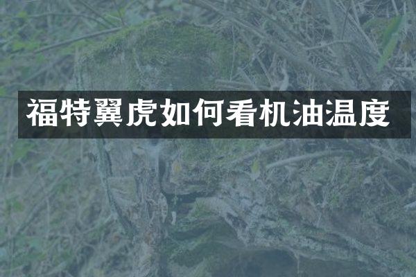 福特翼虎如何看机油温度