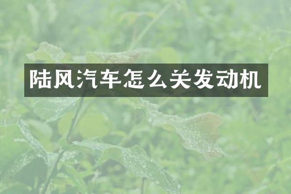 陆风汽车怎么关发动机