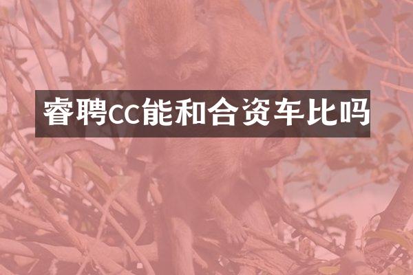 睿聘cc能和合资车比吗
