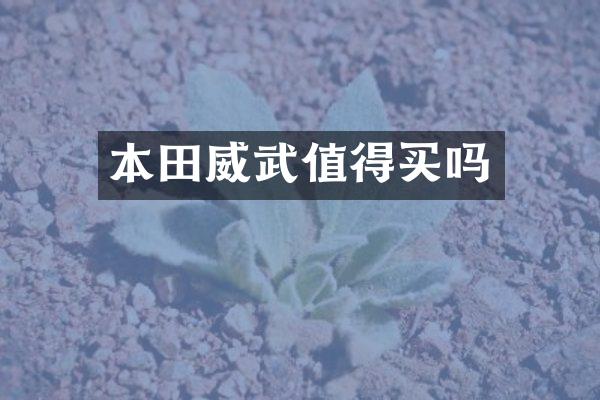 本田威武值得买吗