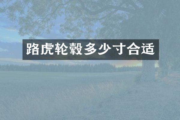 路虎轮毂多少寸合适