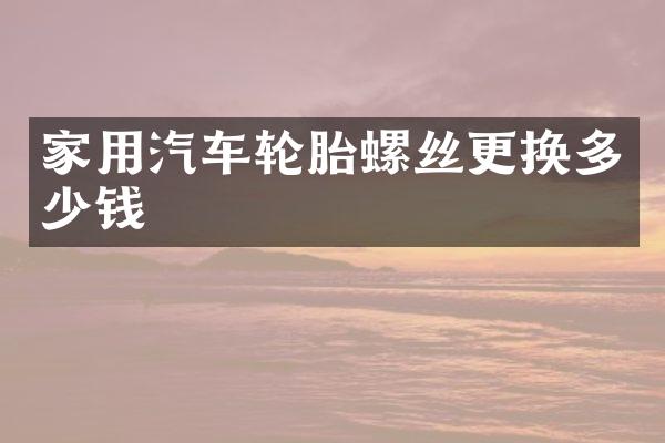 家用汽车轮胎螺丝更换多少钱