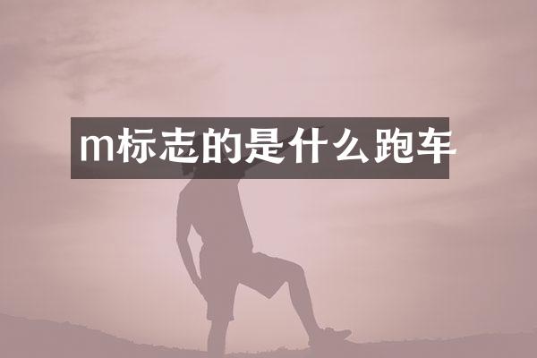 m标志的是什么跑车