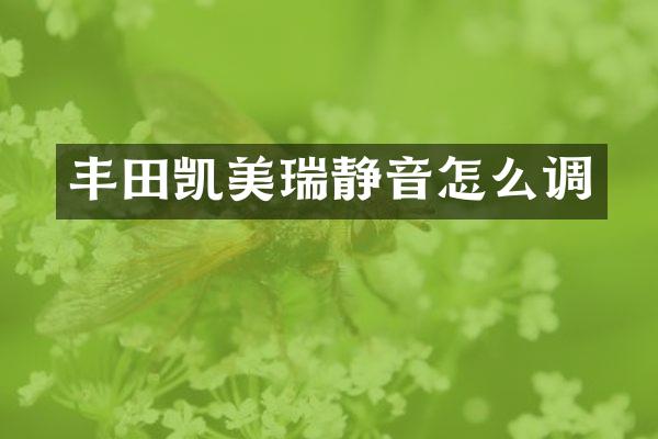 丰田凯美瑞静音怎么调