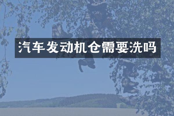 汽车发动机仓需要洗吗