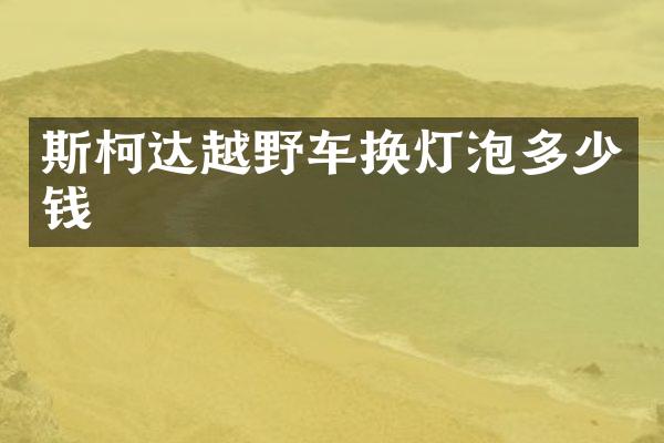 斯柯达越野车换灯泡多少钱