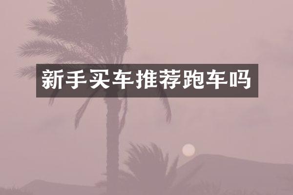 新手买车推荐跑车吗