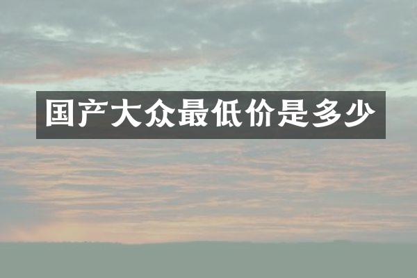 国产大众最低价是多少