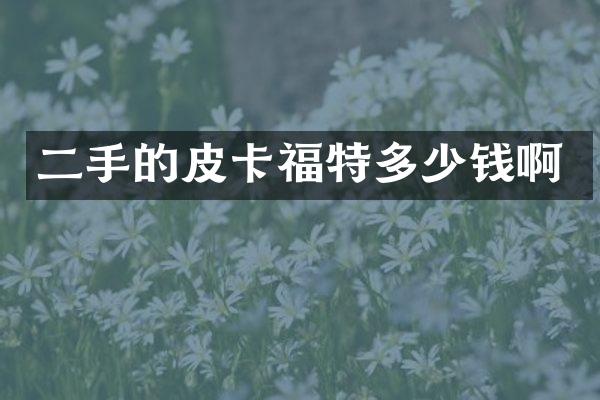 二手的皮卡福特多少钱啊