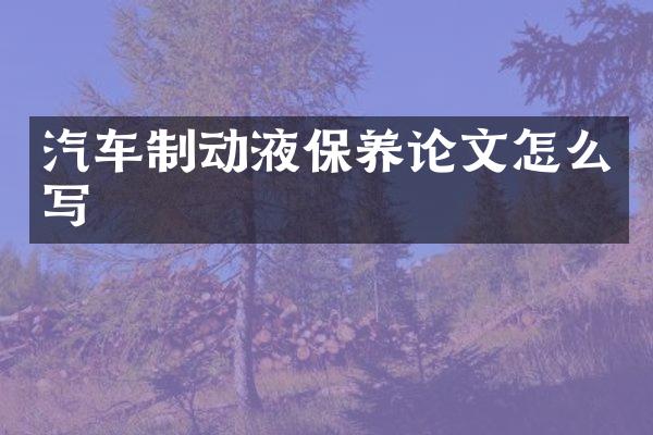 汽车制动液保养论文怎么写