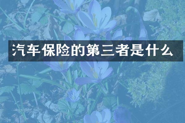 汽车保险的第三者是什么