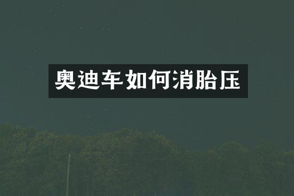奥迪车如何消胎压