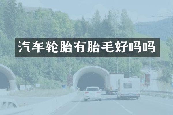 汽车轮胎有胎毛好吗吗