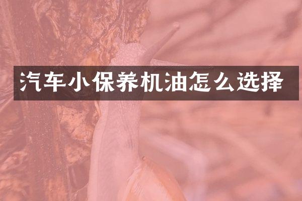 汽车小保养机油怎么选择