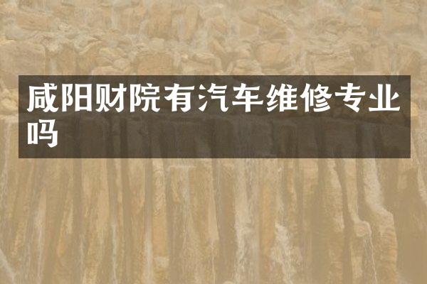 咸阳财院有汽车维修专业吗