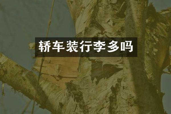 轿车装行李多吗