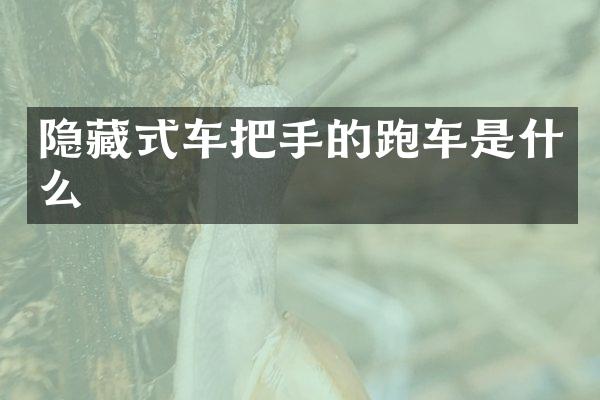 隐藏式车把手的跑车是什么