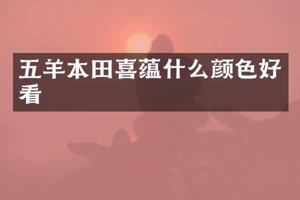 五羊本田喜蕴什么颜色好看