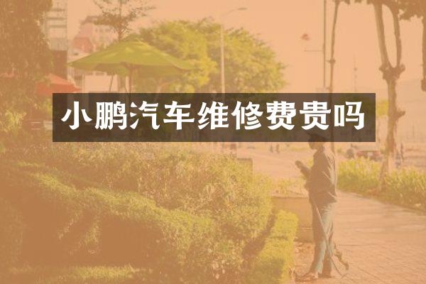 小鹏汽车维修费贵吗