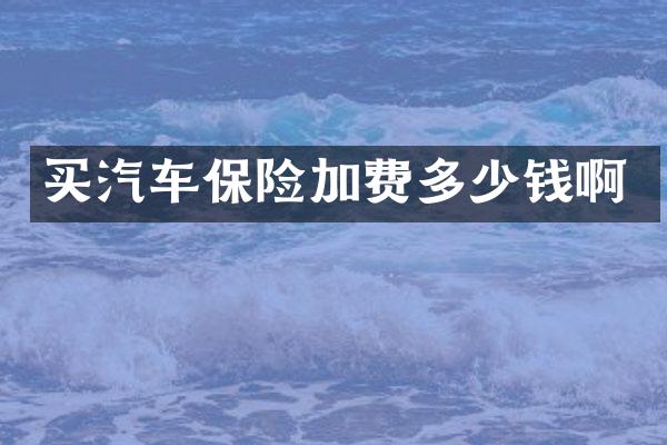 买汽车保险加费多少钱啊