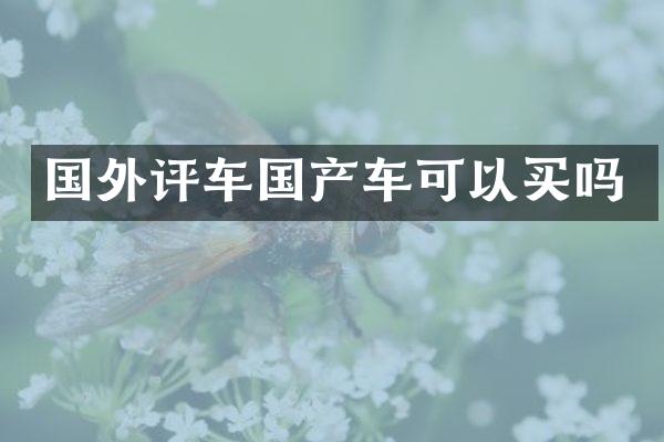 国外评车国产车可以买吗