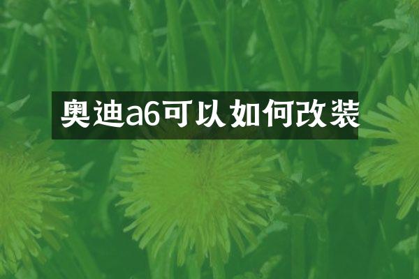 奥迪a6可以如何改装