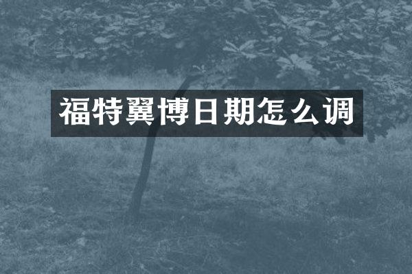 福特翼博日期怎么调