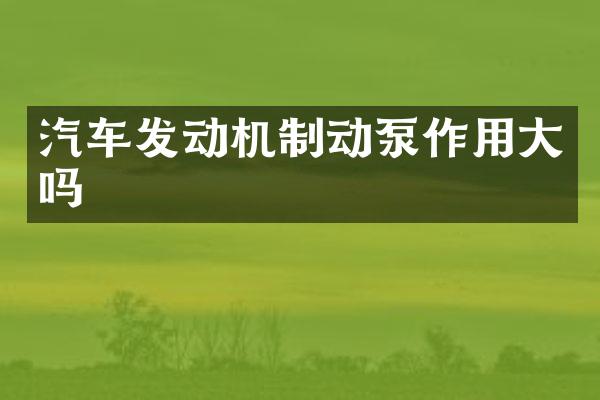 汽车发动机制动泵作用大吗