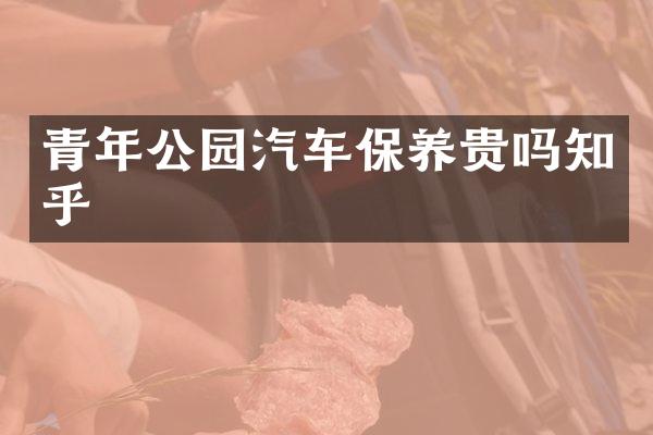 青年公园汽车保养贵吗知乎