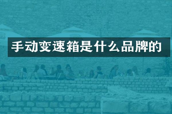 手动变速箱是什么品牌的