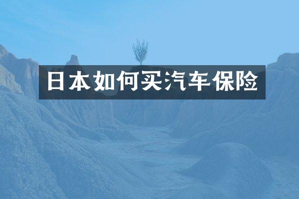 日本如何买汽车保险