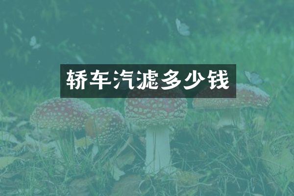 轿车汽滤多少钱