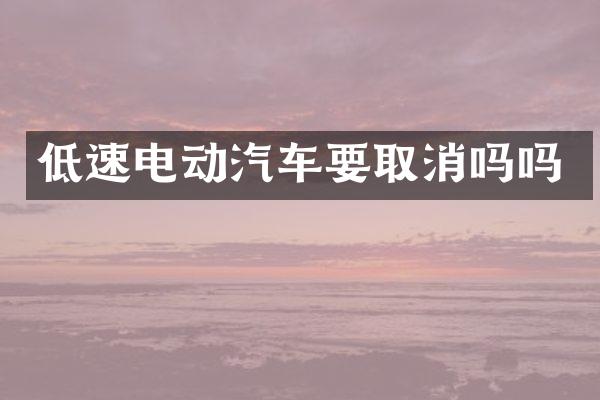低速电动汽车要取消吗吗