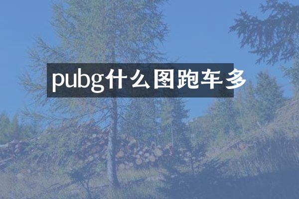 pubg什么图跑车多