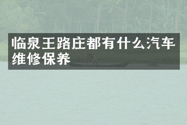 临泉王路庄都有什么汽车维修保养