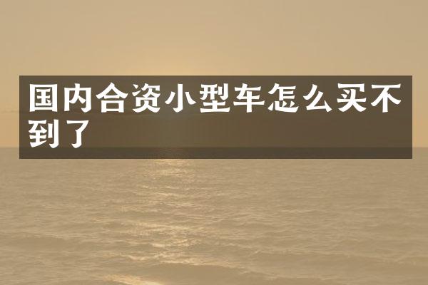 国内合资小型车怎么买不到了