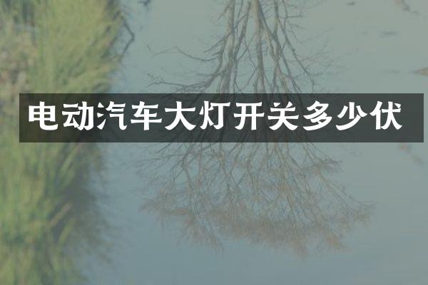 电动汽车大灯开关多少伏