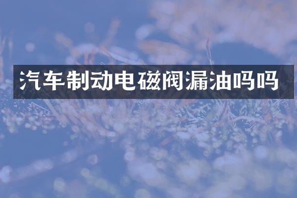 汽车制动电磁阀漏油吗吗