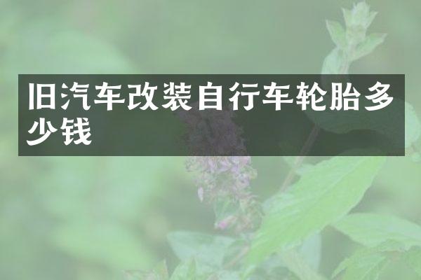 旧汽车改装自行车轮胎多少钱