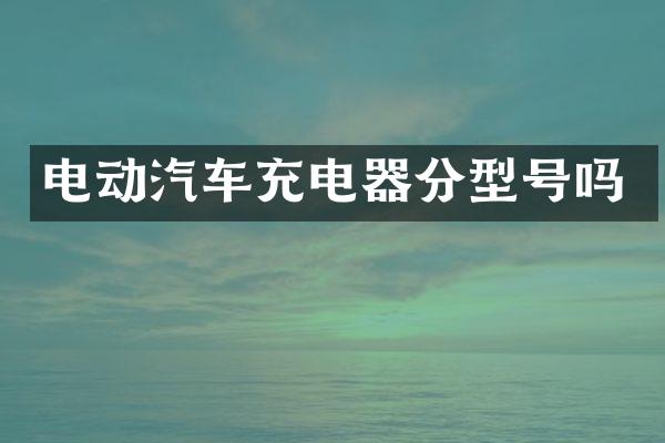 电动汽车充电器分型号吗