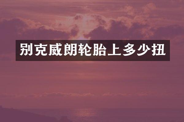 别克威朗轮胎上多少扭