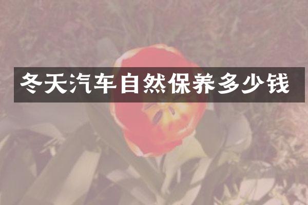 冬天汽车自然保养多少钱