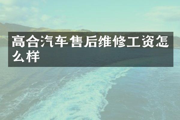 高合汽车售后维修工资怎么样