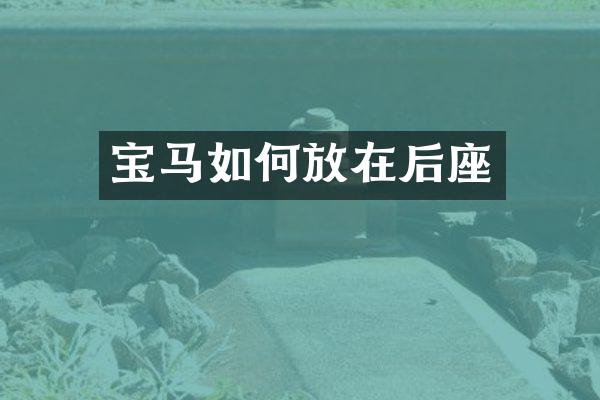 宝马如何放在后座