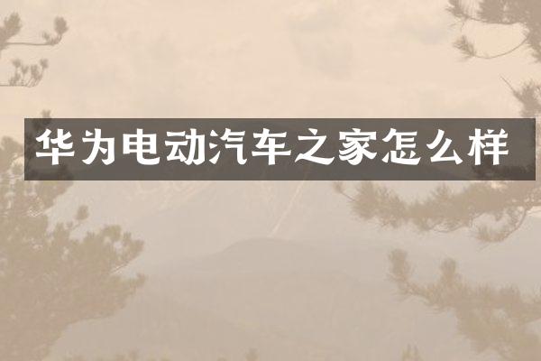 华为电动汽车之家怎么样
