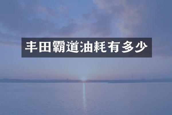丰田霸道油耗有多少
