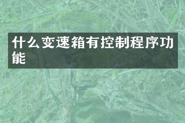 什么变速箱有控制程序功能