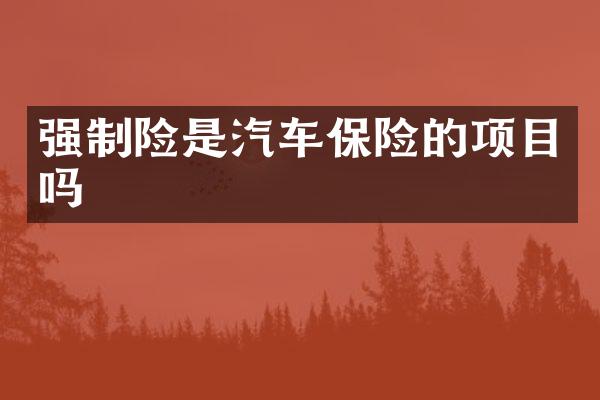 强制险是汽车保险的项目吗