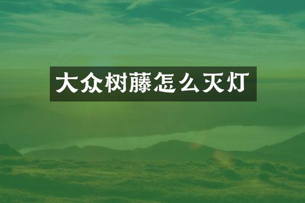 大众树藤怎么灭灯