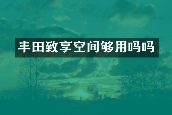丰田致享空间够用吗吗